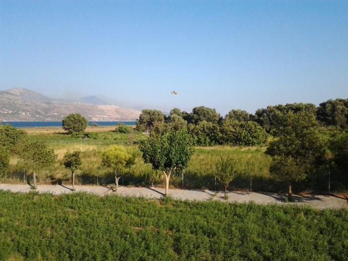 Liza Rooms Lixouri Dış mekan fotoğraf